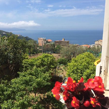 Relais Il Pennino Bed & Breakfast Massa Lubrense Rom bilde