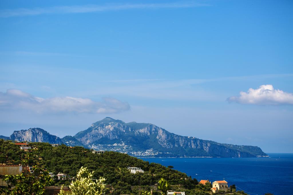 Relais Il Pennino Bed & Breakfast Massa Lubrense Eksteriør bilde